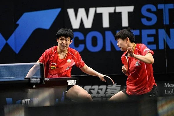 Asian Table Tennis Betting: Understanding the Dynamics